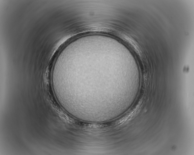 X0000099290875200805161322