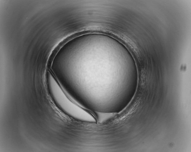 X0000099290880200805161322