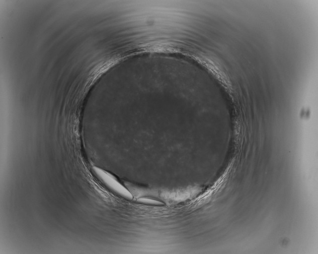 X0000099290881200805161322