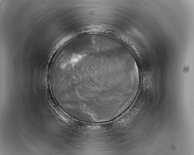 X0000099290882200805161322