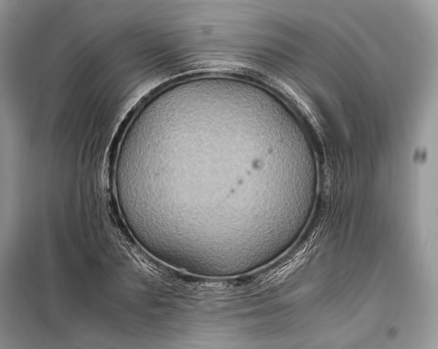 X0000099290883200805161322