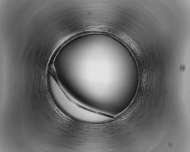 X0000099290884200805161322