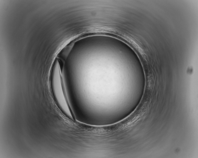 X0000099290885200805161322