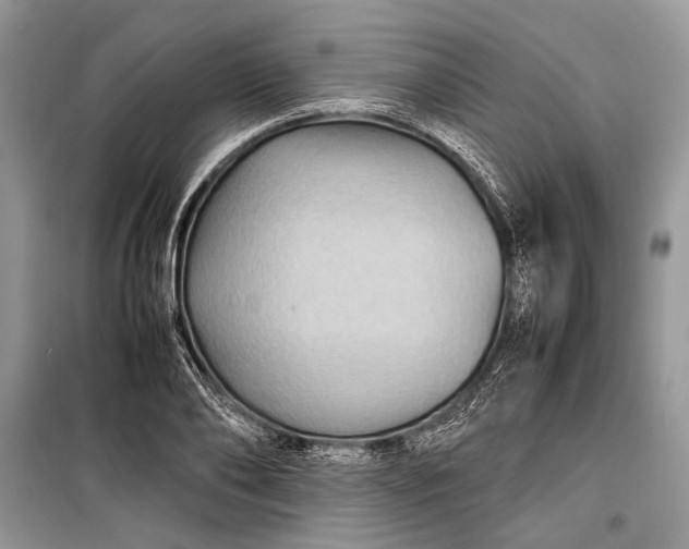 X0000099290886200805161322