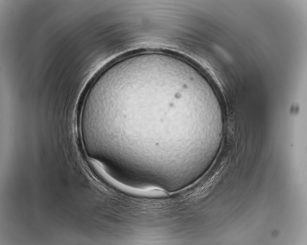 X0000099290887200805161322