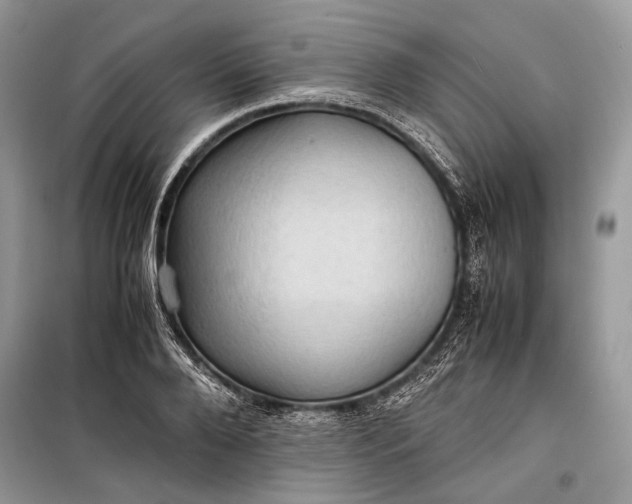 X0000099290888200805161322