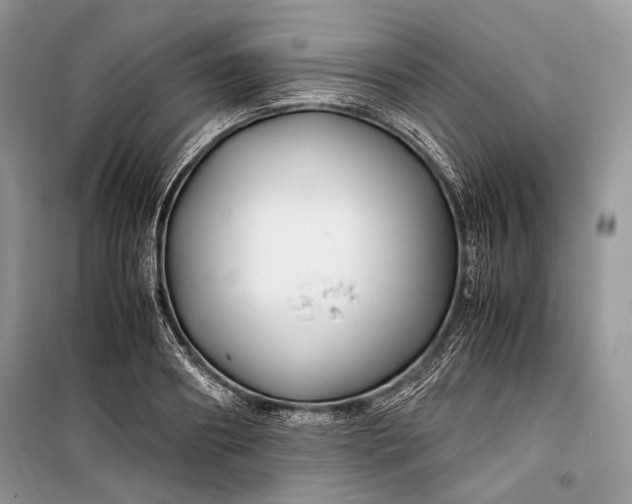 X0000099290890200805161322