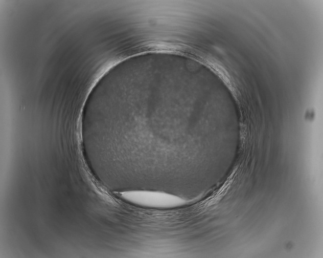 X0000099290891200805161322