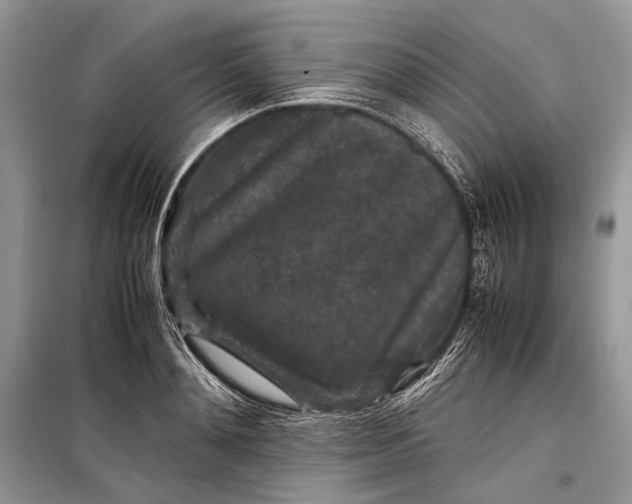 X0000099290892200805161322