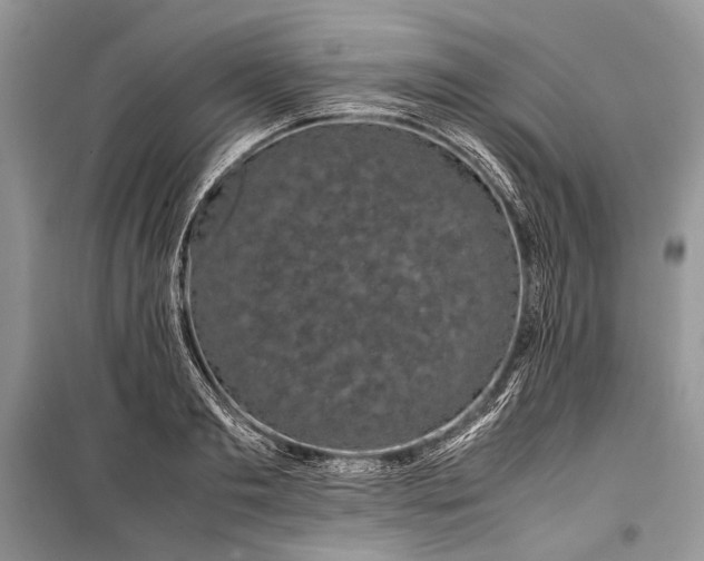 X0000099290893200805161322