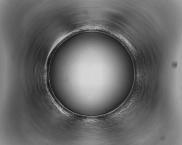 X0000099290894200805161322