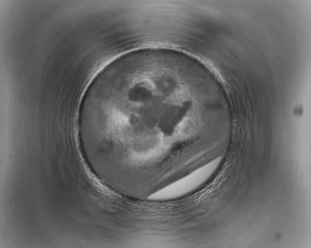 X0000099290895200805161322