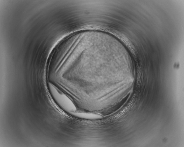 X0000099290896200805161322