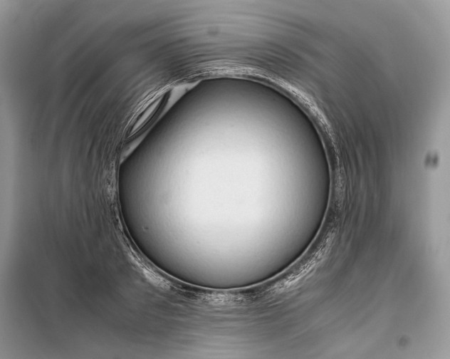 X0000099290897200805161322