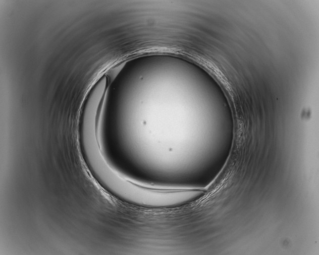 X0000099290898200805161322