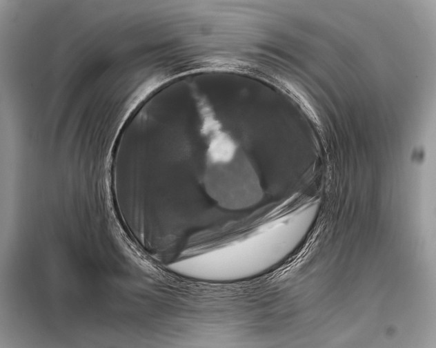 X0000099290899200805161322