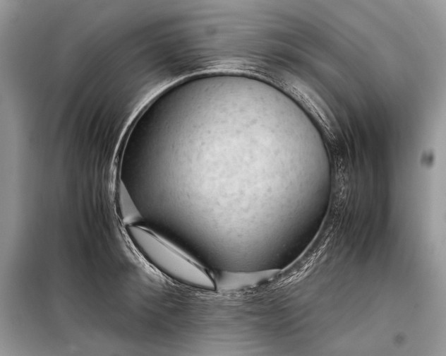 X0000099290900200805161322