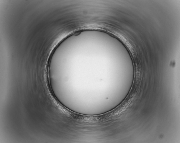 X0000099290901200805161322