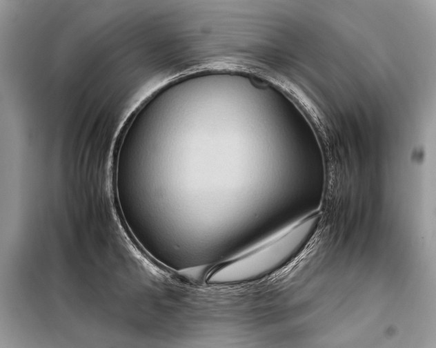 X0000099290902200805161322