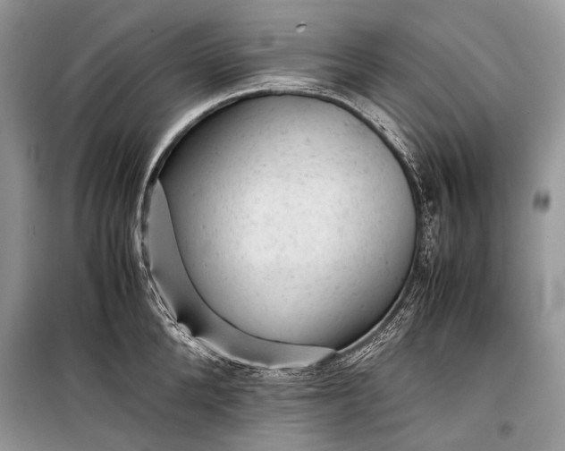 X0000099290904200805161322