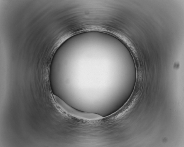 X0000099290905200805161322