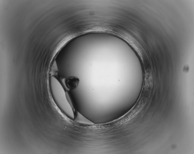 X0000099290906200805161322