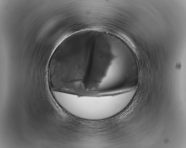 X0000099290907200805161322