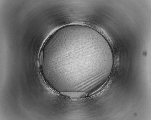 X0000099290908200805161322