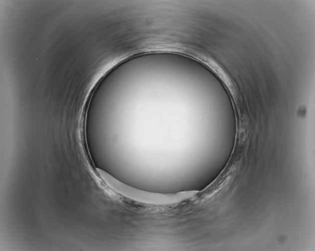 X0000099290909200805161322