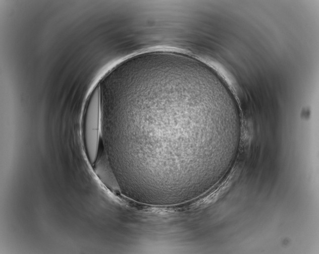 X0000099290910200805161322