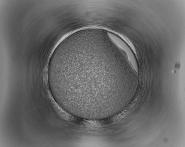 X0000099290911200805161322