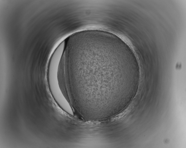 X0000099290912200805161322