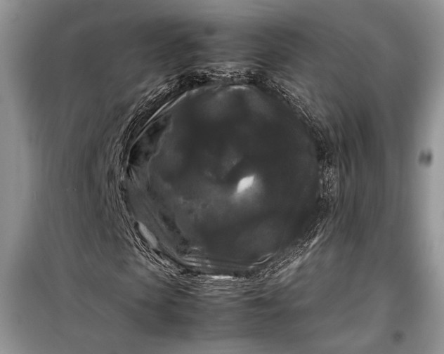 X0000099290913200805161321