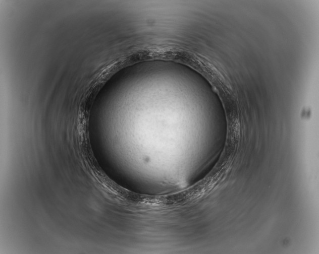 X0000099290914200805161321