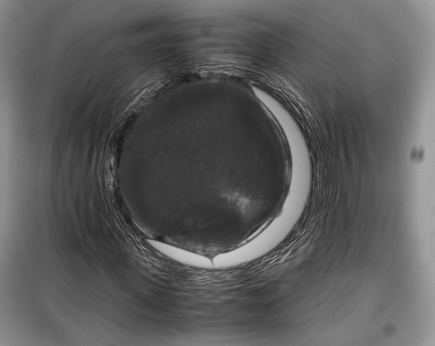 X0000099290915200805161321