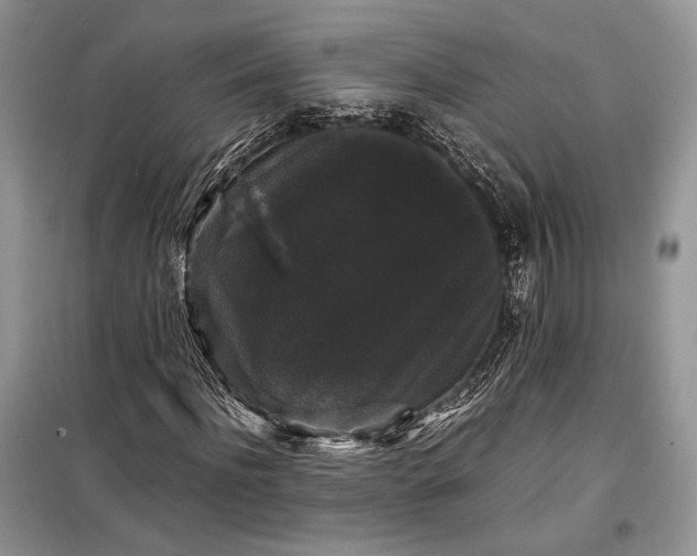 X0000099290916200805161321