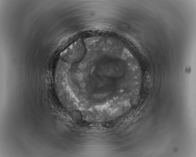 X0000099290918200805161321