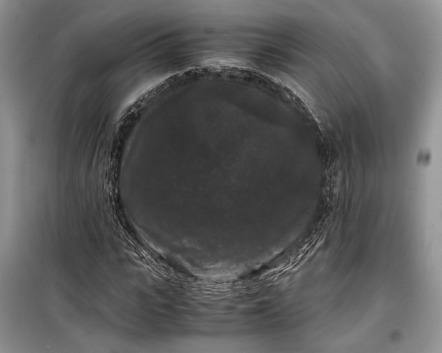 X0000099290919200805161321