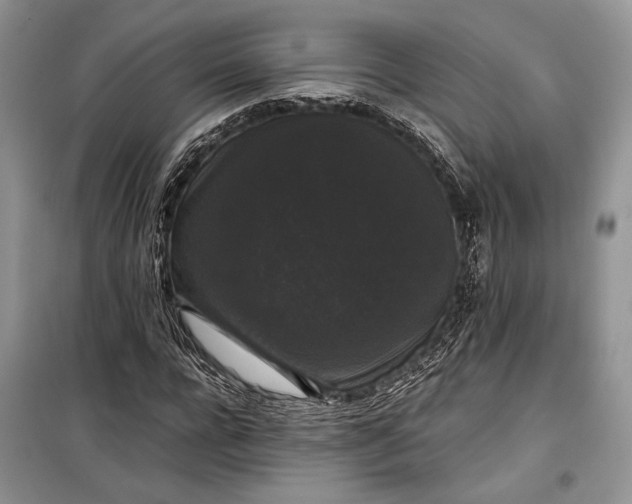 X0000099290920200805161321