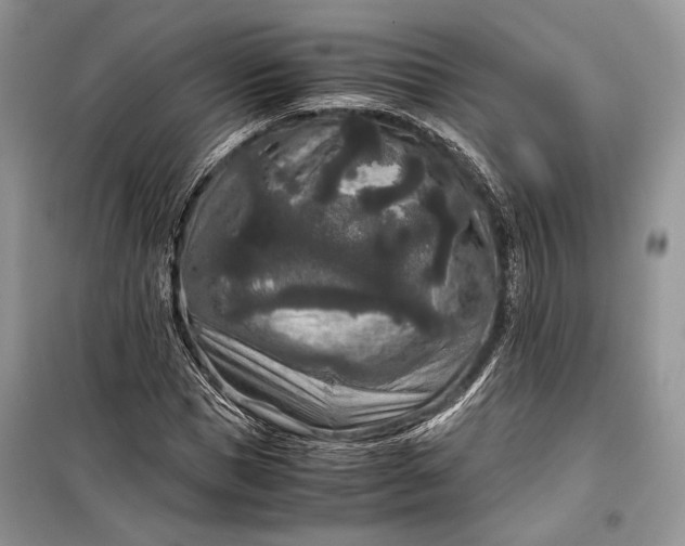 X0000099290921200805161321