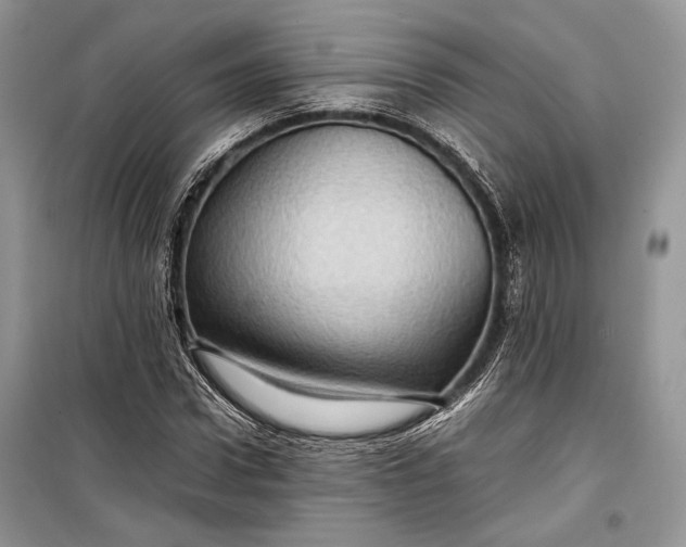 X0000099290922200805161321