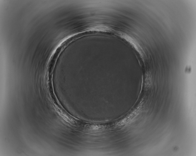 X0000099290923200805161321