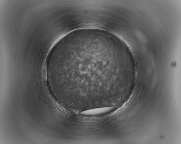 X0000099290925200805161321