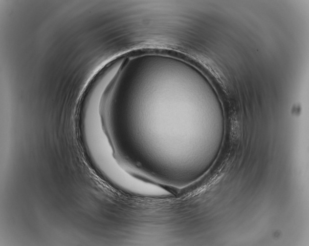 X0000099290926200805161321