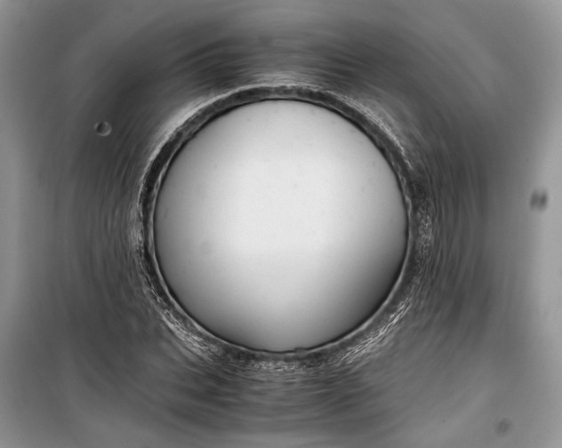 X0000099290927200805161321