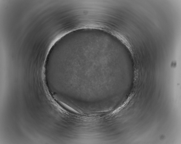 X0000099290928200805161321