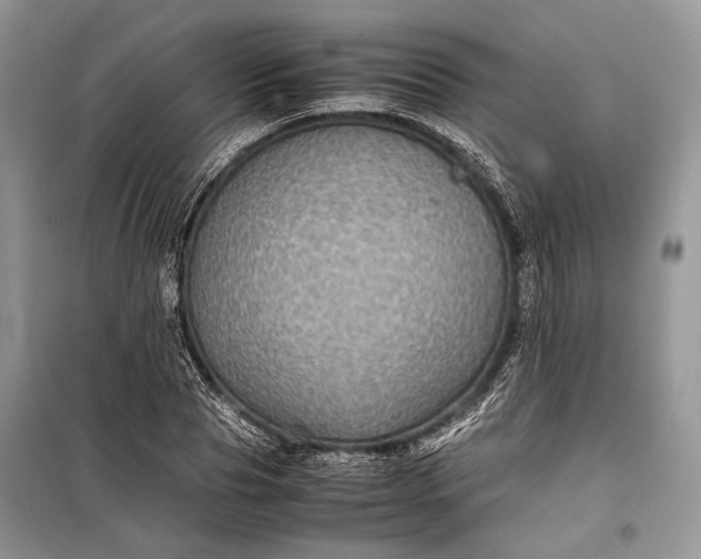 X0000099290929200805161321