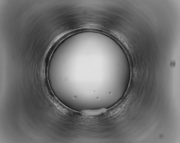 X0000099290931200805161321