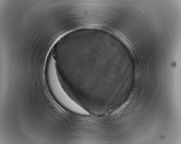 X0000099290932200805161321