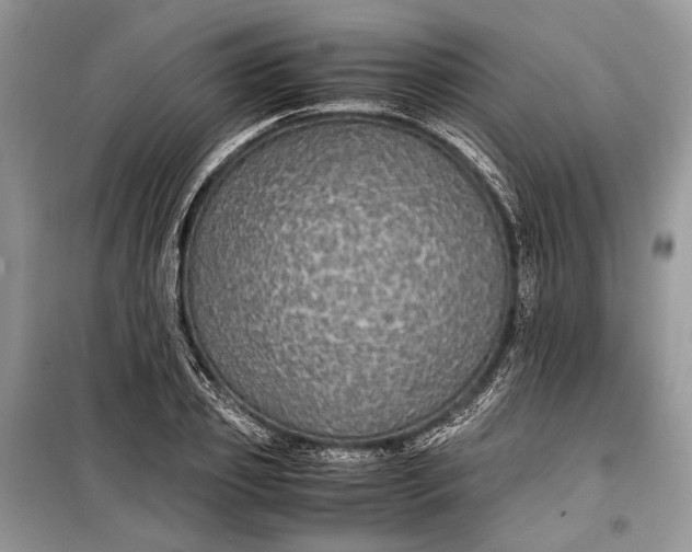 X0000099290933200805161322